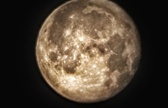 Enlarge photo 192