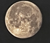Enlarge photo 193