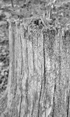 Enlarge photo 197