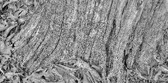 Enlarge photo 198