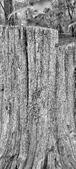Enlarge photo 199