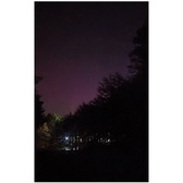 Enlarge photo 220