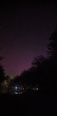 Enlarge photo 221