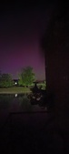 Enlarge photo 219