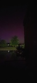 Enlarge photo 218