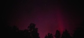 Enlarge photo 226