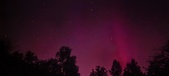 Enlarge photo 225