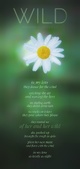 Enlarge photo 229