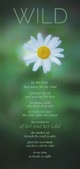Enlarge photo 228