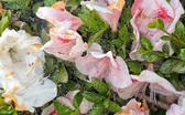 Enlarge photo 277