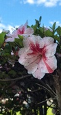 Enlarge photo 312