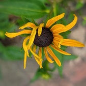 Enlarge photo 337