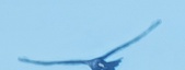 Enlarge photo 354