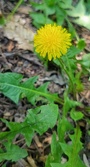 Enlarge photo 471