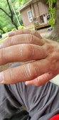 Enlarge photo 497