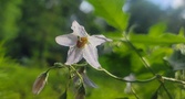 Enlarge photo 501