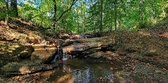 Enlarge photo 30