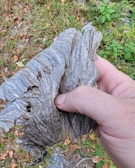 Enlarge photo 31