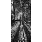 Enlarge photo 130