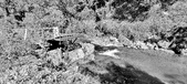 Enlarge photo 159