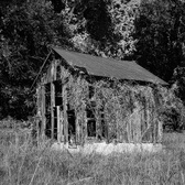 Enlarge photo 171
