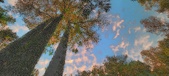 Enlarge photo 202