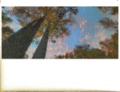 Enlarge photo 205