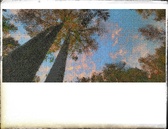 Enlarge photo 206