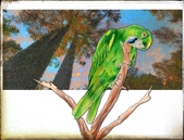 Enlarge photo 208