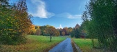 Enlarge photo 215
