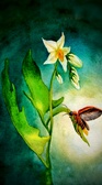 Enlarge photo 23