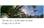 Enlarge photo 187