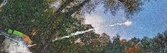Enlarge photo 193