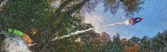 Enlarge photo 195