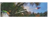 Enlarge photo 196