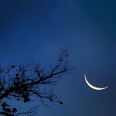 Enlarge photo 119