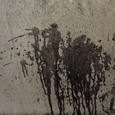 Enlarge photo 223