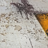 Enlarge photo 229