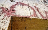 Enlarge photo 230