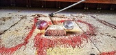 Enlarge photo 232
