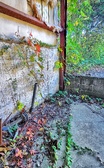 Enlarge photo 246
