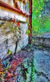 Enlarge photo 247