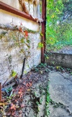 Enlarge photo 248