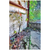 Enlarge photo 251