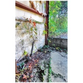 Enlarge photo 250