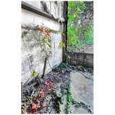 Enlarge photo 249