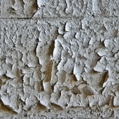 Enlarge photo 219