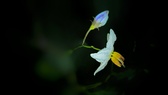 Enlarge photo 45