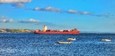 Enlarge photo 134