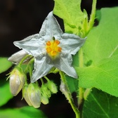 Enlarge photo 3